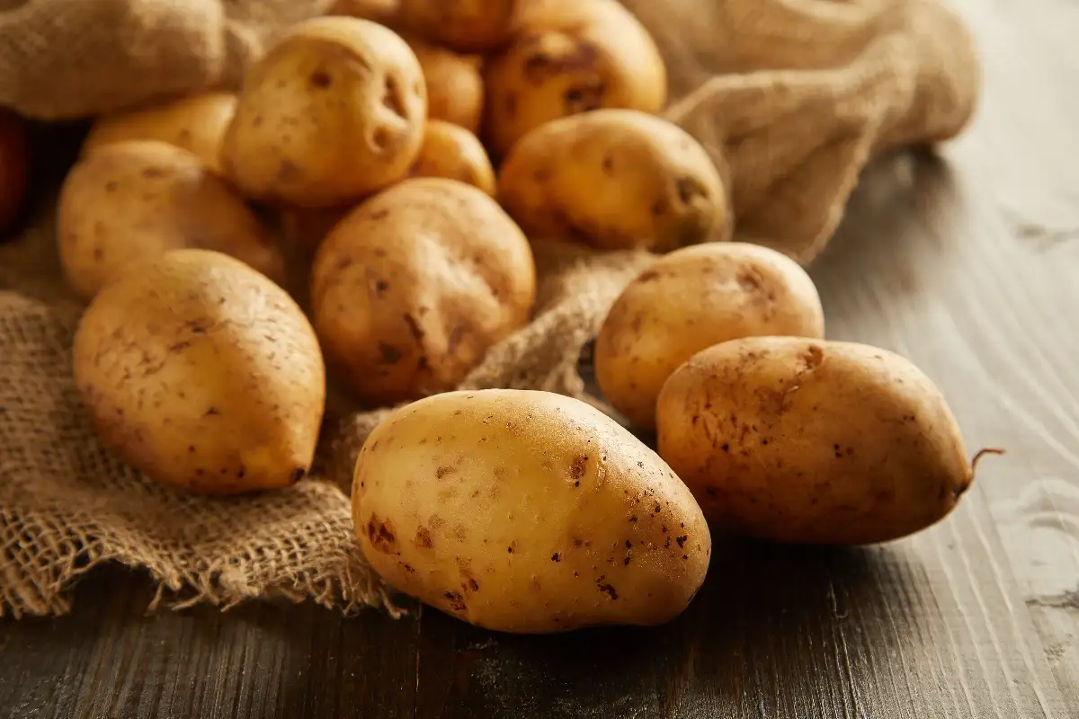 Pomme de terre